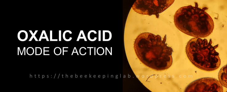 Oxalic Acid Mode of&nbsp;Action