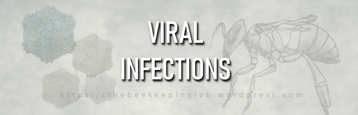 Viral infections and Varroa- Part&nbsp;I