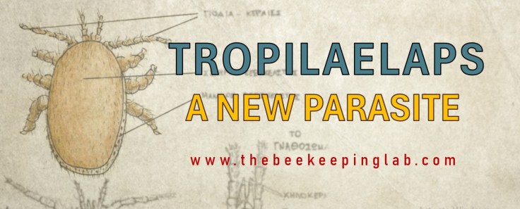 Tropilaelaps: A New&nbsp;Parasite