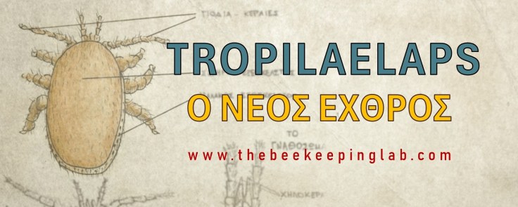 Tropilaelaps: Ο Νέος&nbsp;Εχθρός